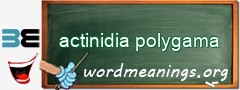 WordMeaning blackboard for actinidia polygama